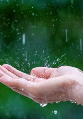 Rainwater Harvesting